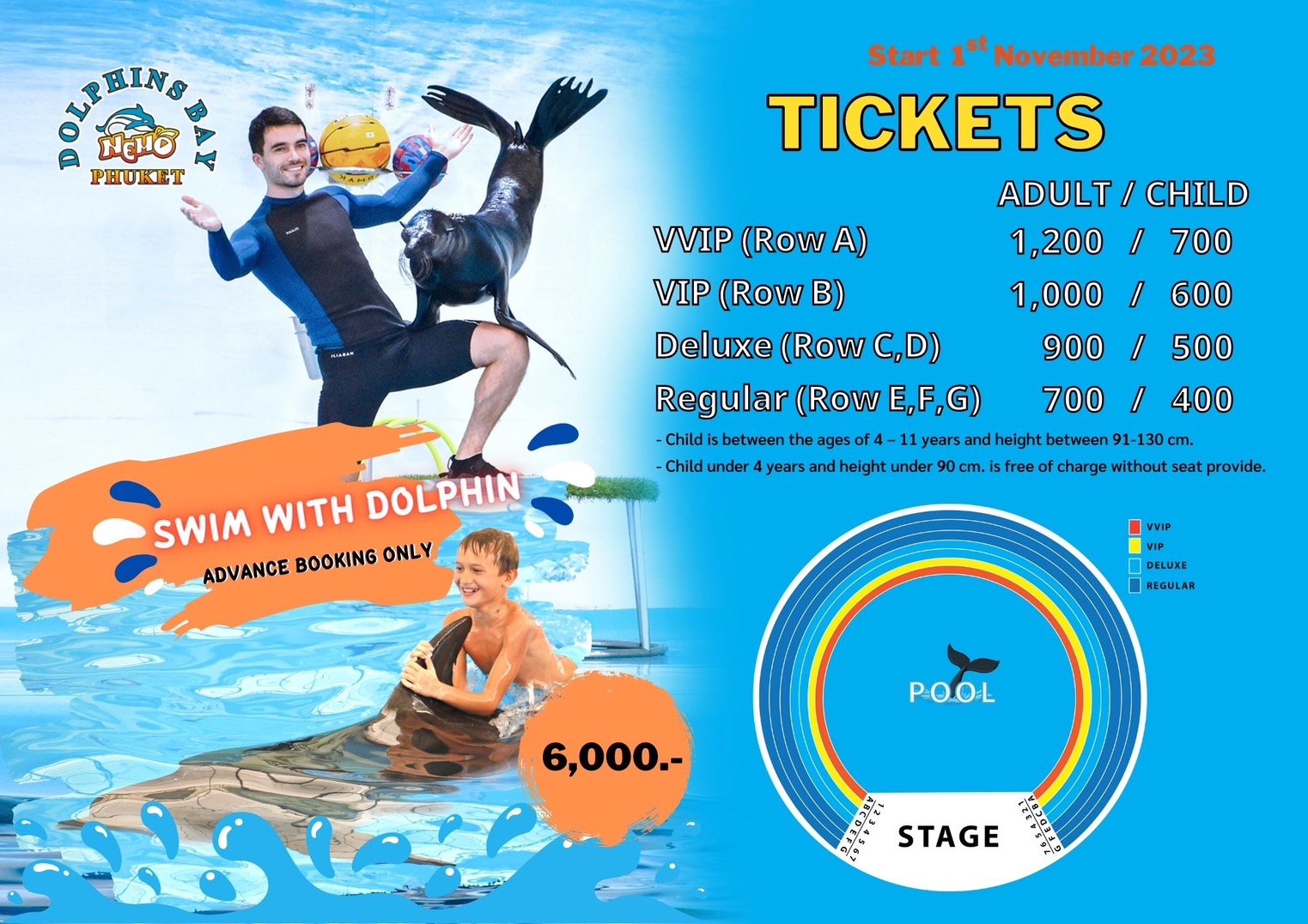 Dolphins Show : VIP Seats